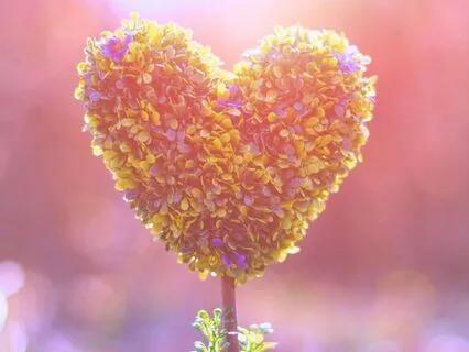 Heart Centered Meditation