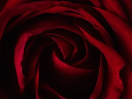 Heart-Centered Morning + Healing Bowls