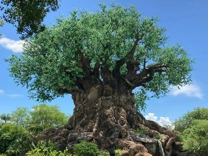 Heart-Centered Prayer