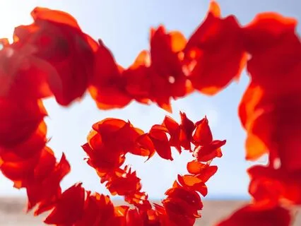 Heart Centered Reiki Meditation