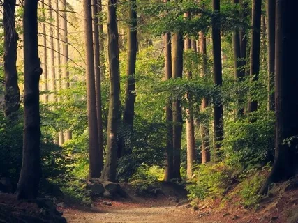 Heart Centered Sound Healing 