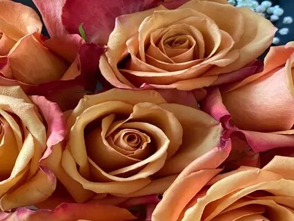 Heart Centering Meditation 528Hz