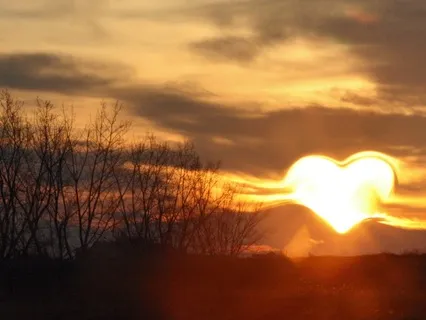 Heart Centre Recalibration - Heart Healing Meditation