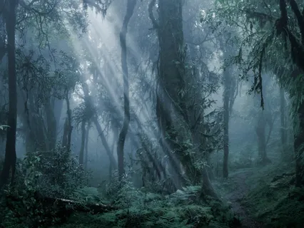 Deep Sleep - Heart Chakra - Attract Miracles