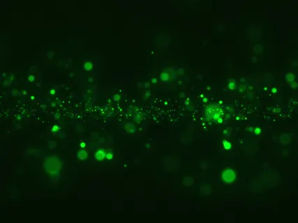 Heart Chakra (432 Hz) [Chakra Piano Healing, Session 4]