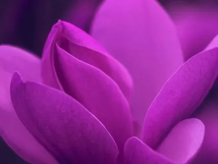 Heart Chakra 528 Hz | Delta Binaural And Iscochronic