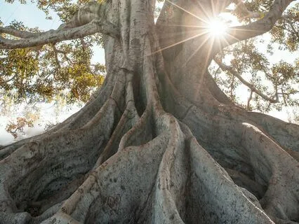 Heart Chakra (90 Min. Rav Drum Music For Yoga Or Meditation)