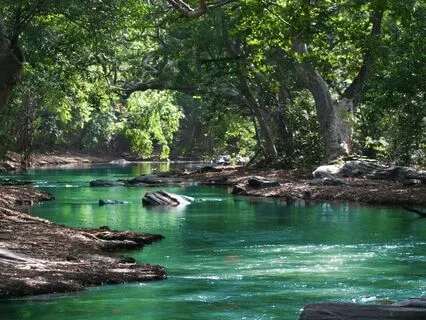 Heart Chakra Activation – 21 Times Yam Chant