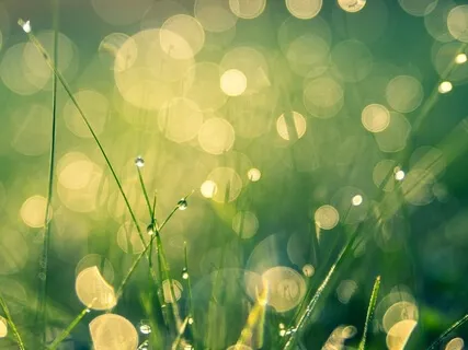 Heart Chakra Activation