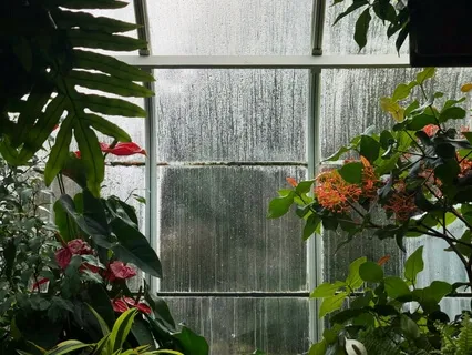 Heart Chakra Activation For Healing Unconditional Love