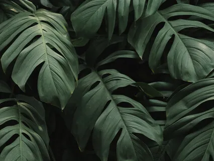 Activate Your Heart Chakra