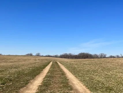 Heart Chakra Affirmations With Music