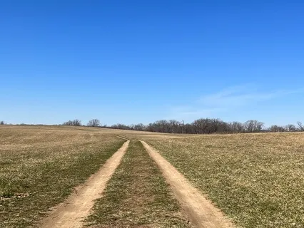 Heart Chakra Affirmations Without Music