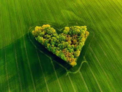 Heart Chakra (Anahata): The Art Of Open Hearted Living