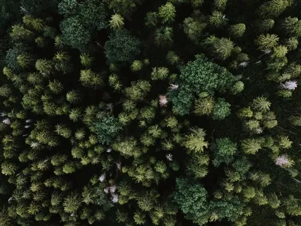 Heart Chakra Awakening Through EFT And Yoga Nidra