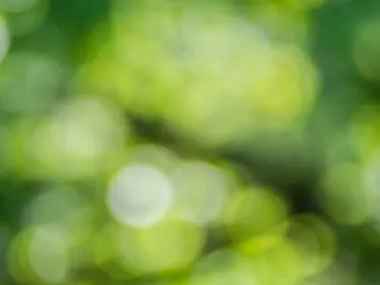 Heart Chakra: Build Immunity With Gratitude And Love