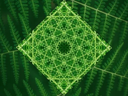 Heart Chakra Clearing 