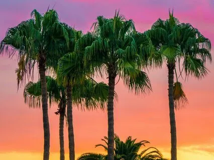 Heart Chakra Energy Healing While You Sleep