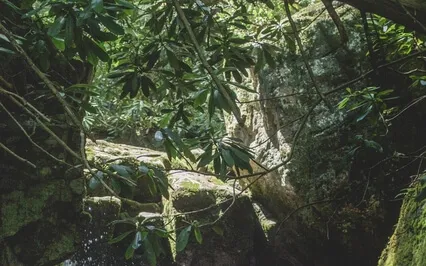 Heart Chakra Guided Meditation