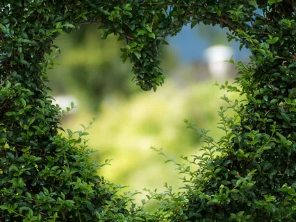 Heart Chakra Guided Meditation With Crystal Bowls & 528Hz Tones