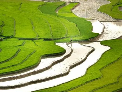 Heart Chakra Healing 639Hz Solfeggio Frequency & Theta Waves