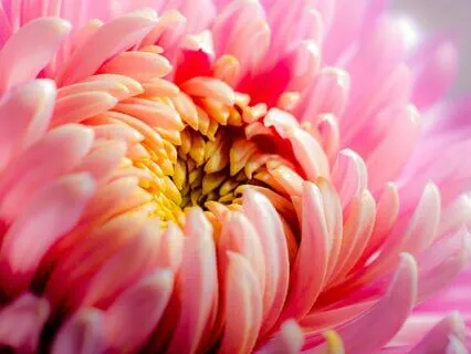 Heart Chakra Healing 639 Hz Solfeggio Frequency