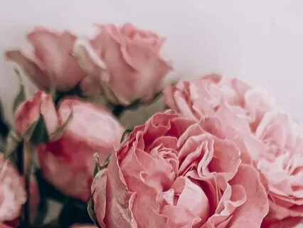 Heart Chakra Healing: A Sound Journey (30 Minutes)