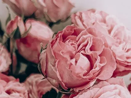 Heart Chakra Healing: A Sound Journey (60 Minutes)