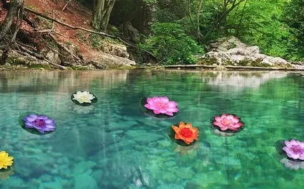 Heart Chakra - Healing Piano Music