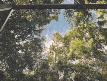 Heart Chakra Light Language Transmission