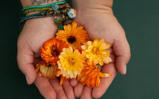 Heart Chakra Meditation