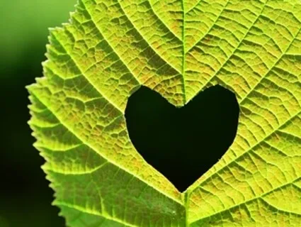 Heart Chakra Practice