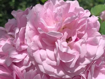 Heart Chakra Meditation For Business Success