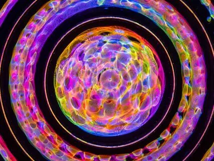 Heart Chakra Meditation Music 639Hz