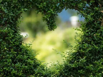 Heart Chakra Meditation: Open To Love And Compassion