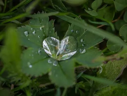 Heart Chakra Meditation - Self Love & Earth Healing