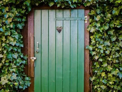 Heart Chakra Meditation