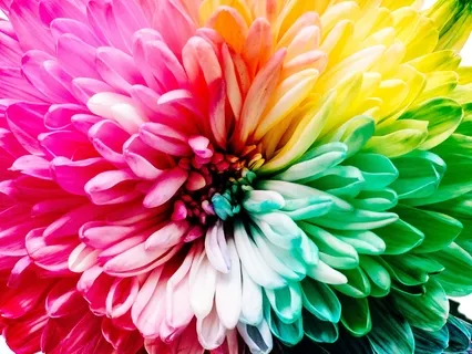 Heart Chakra Re-balancing Through Vibration