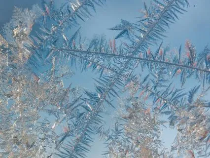 Heart Chakra Reset: Softening Into Love