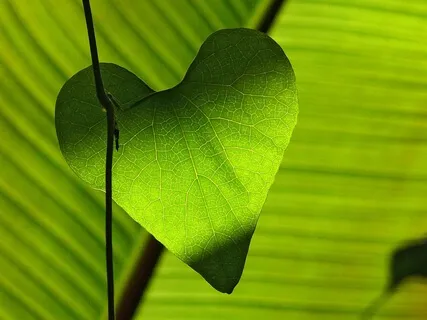 Heart Chakra Sound Meditation