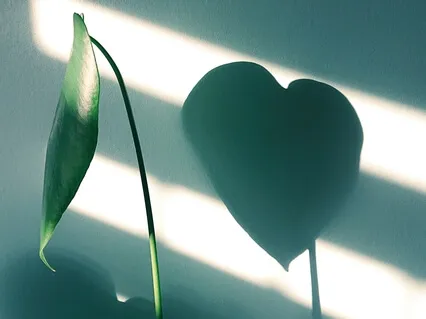 Heart Chakra With Singing Bowls