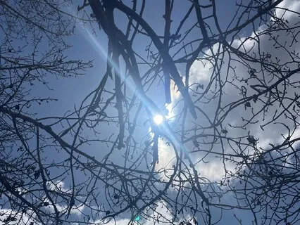 Heart Chakra Yoga Nidra