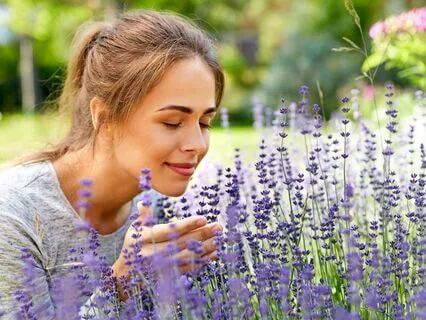 Heart Coherence Exercise