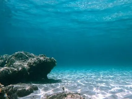 Heart Coherence & Harmony - Angelic Frequency