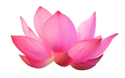 Heart Coherence Meditation