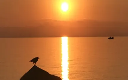 Heart Coherence Meditation - Reduce Stress & Overwhelm