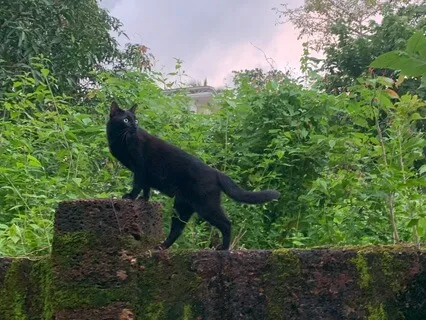 Heart Coherence: Sync Your Heart And Mind For Calm