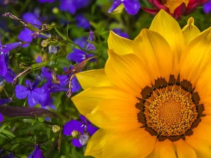 Heart: Connecting And Healing