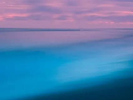 Heart Connection Meditation & Breathwork