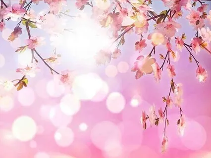 Heart Connection Meditation - Shine Your Light 